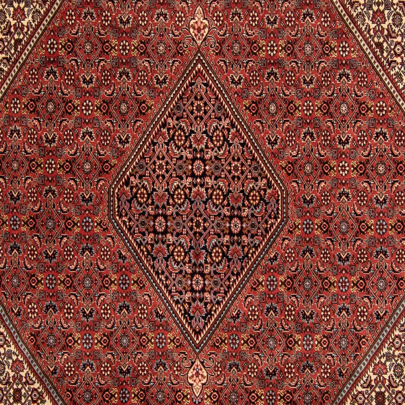 Perserteppich - Bidjar 343 x 250 cm