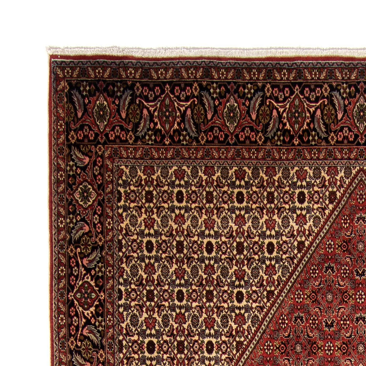 Bidjar Tappeto 250x343cm - Tappeto persiano - rosso scuro