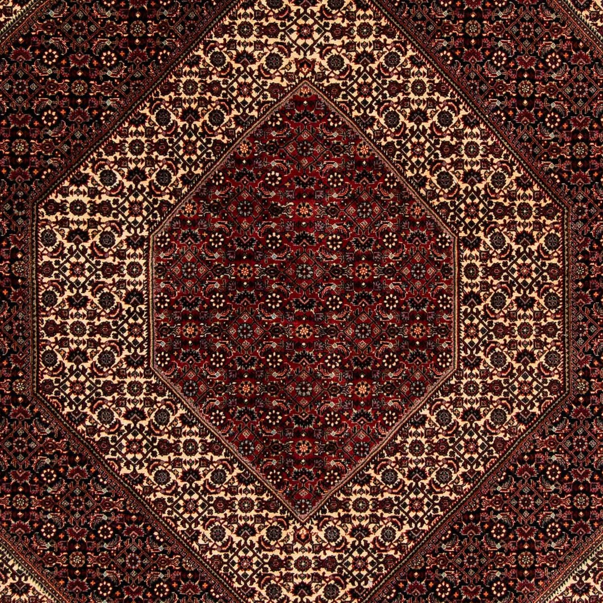 Perserteppich - Bidjar 262 x 203 cm