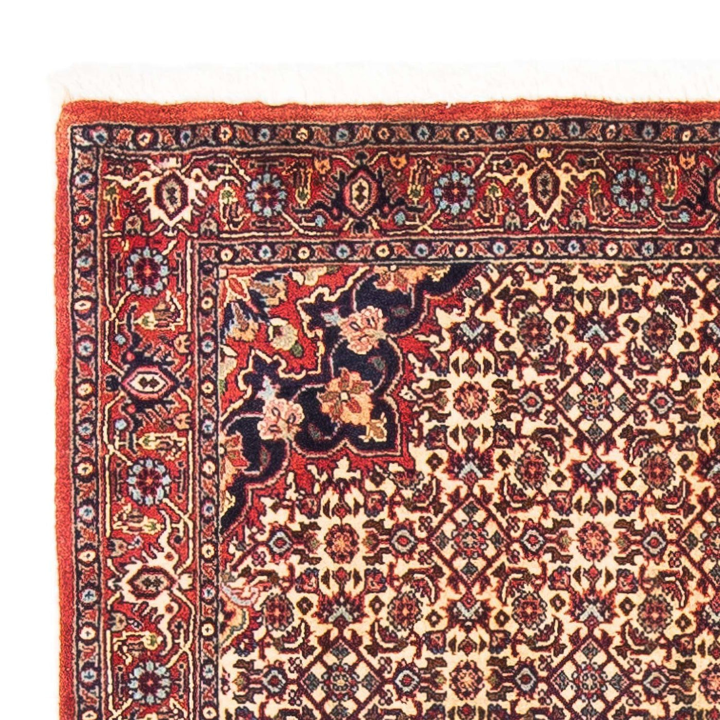Tapis de Bidjar Tapis 151x88cm - Tapis persan