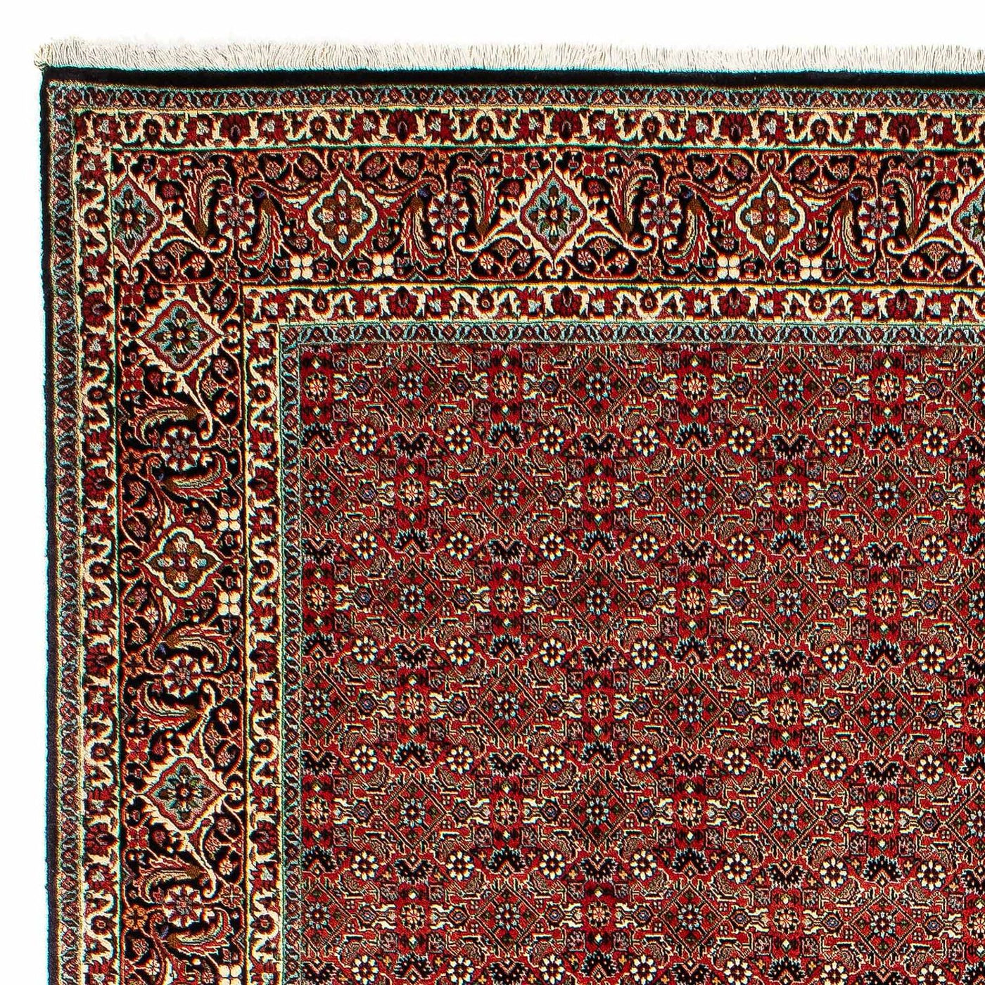 Bidjar Tappeto 300x206cm - Tappeto persiano