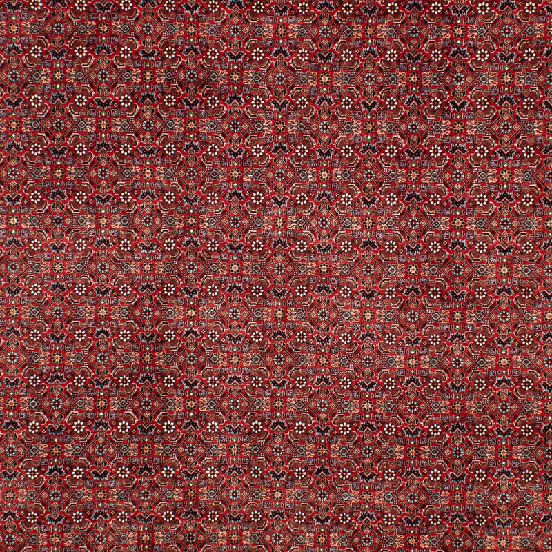 Perserteppich - Bidjar 298 x 205 cm