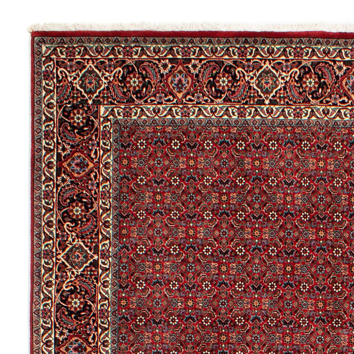 Tapis de Bidjar Tapis 298x205cm - Tapis persan