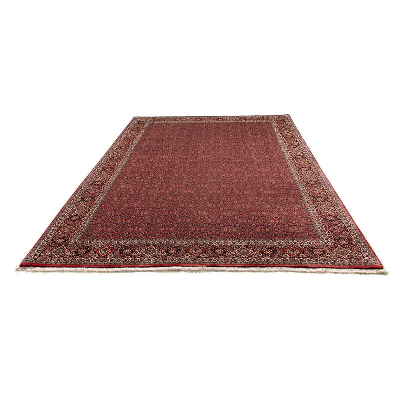 Perserteppich - Bidjar 298 x 205 cm
