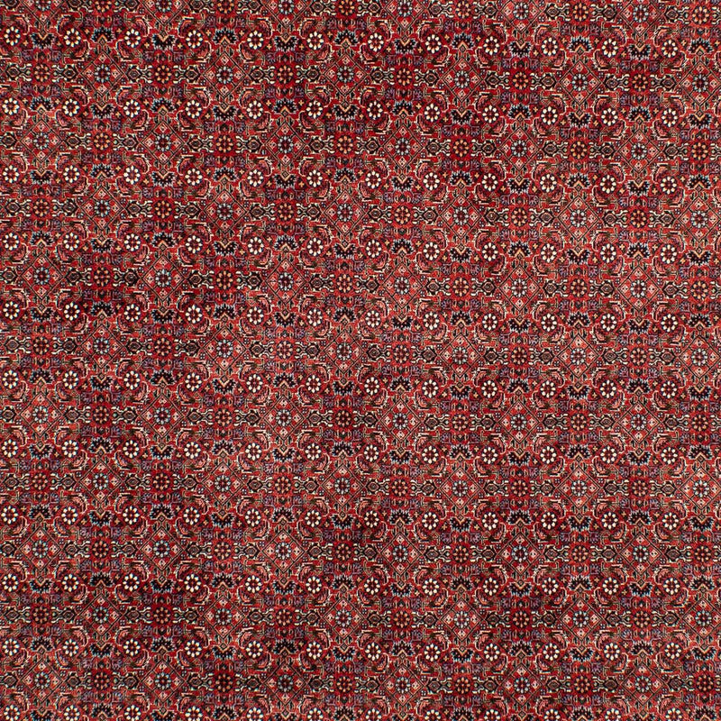 Perserteppich - Bidjar 299 x 202 cm