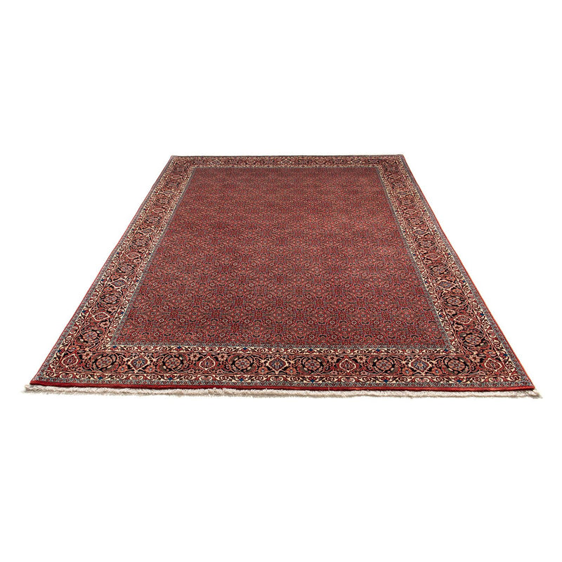 Perserteppich - Bidjar 299 x 202 cm