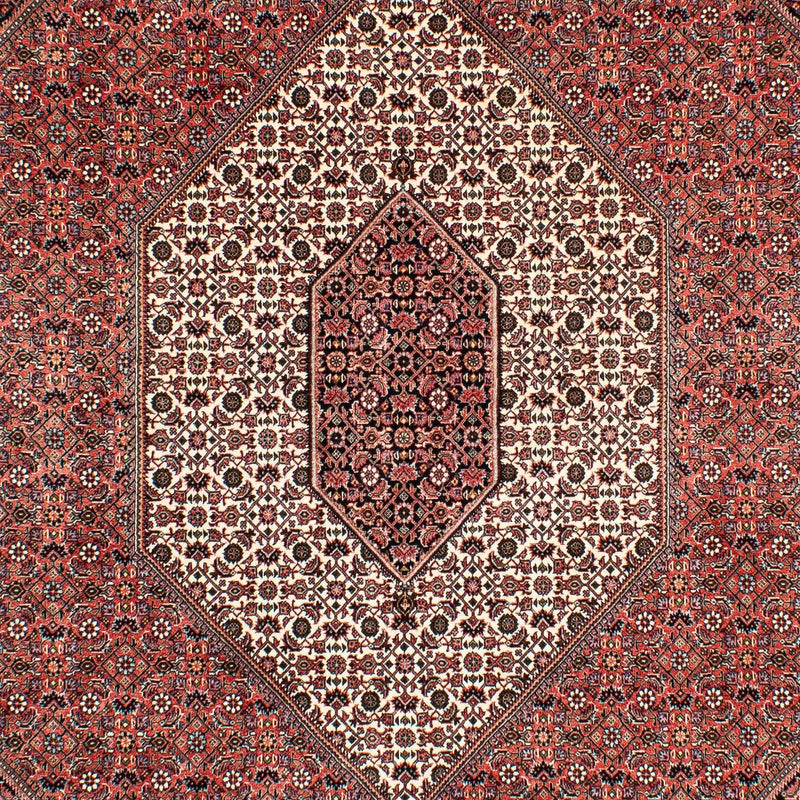 Perserteppich - Bidjar 293 x 203 cm