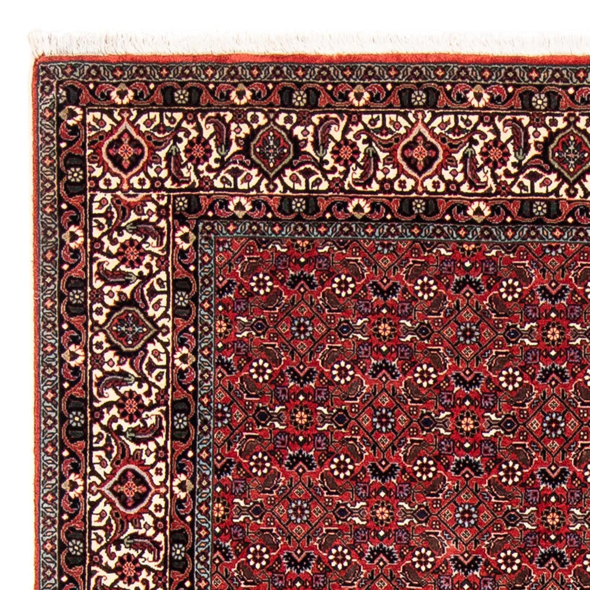 Bidjar Tappeto 173x243cm - Tappeto persiano - rosso scuro