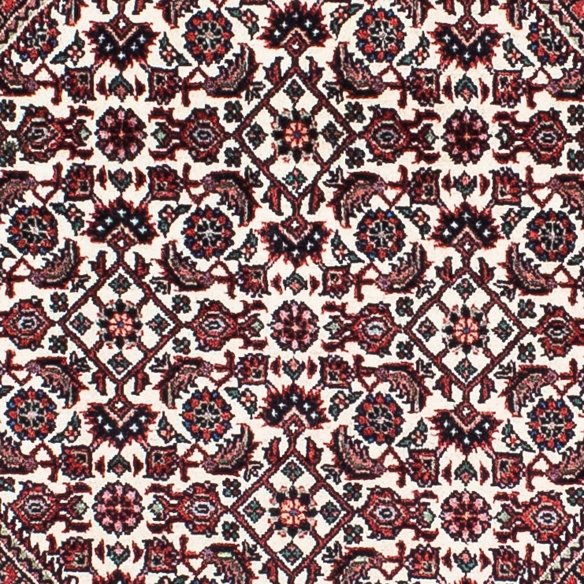 Perserteppich - Bidjar - Royal 217 x 131 cm - rot