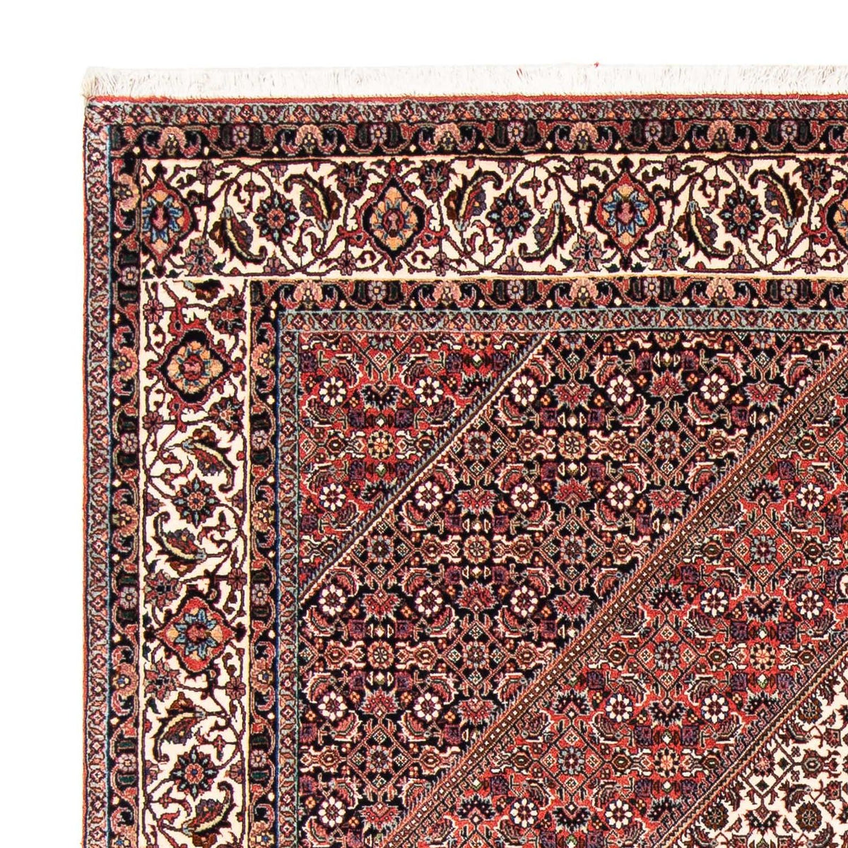 Tapis de Bidjar Tapis 171x227cm - Tapis persan - rouge clair