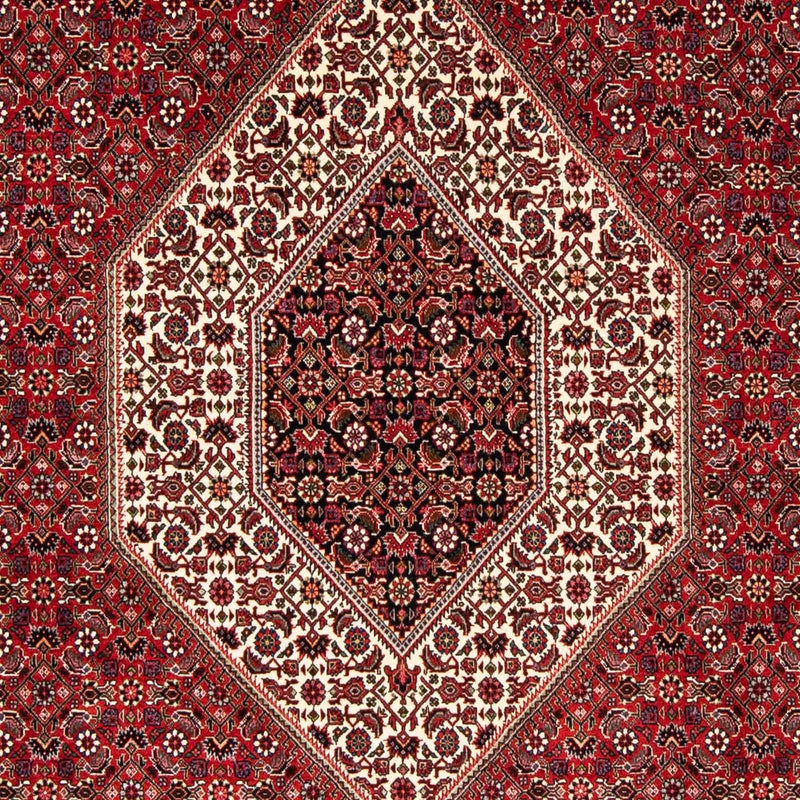Perserteppich - Bidjar 246 x 170 cm