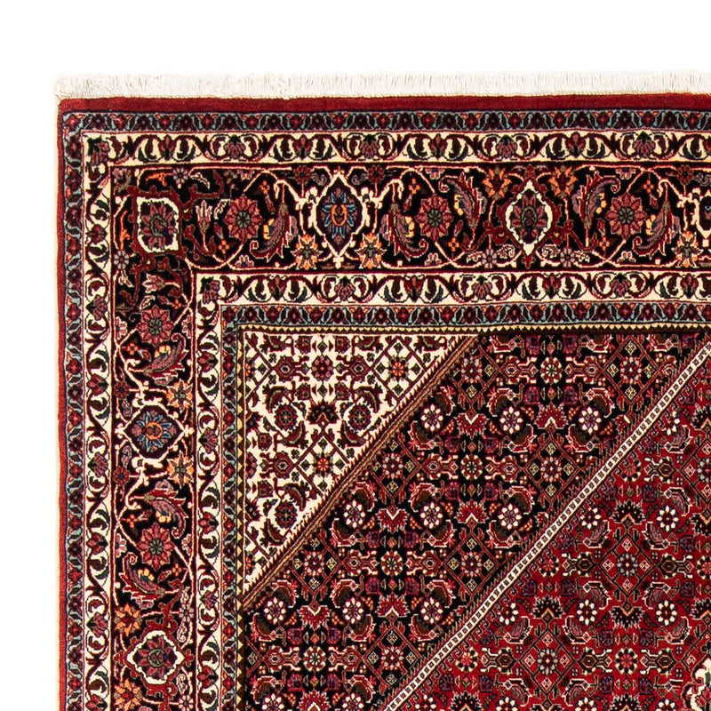 Perserteppich - Bidjar 246 x 170 cm