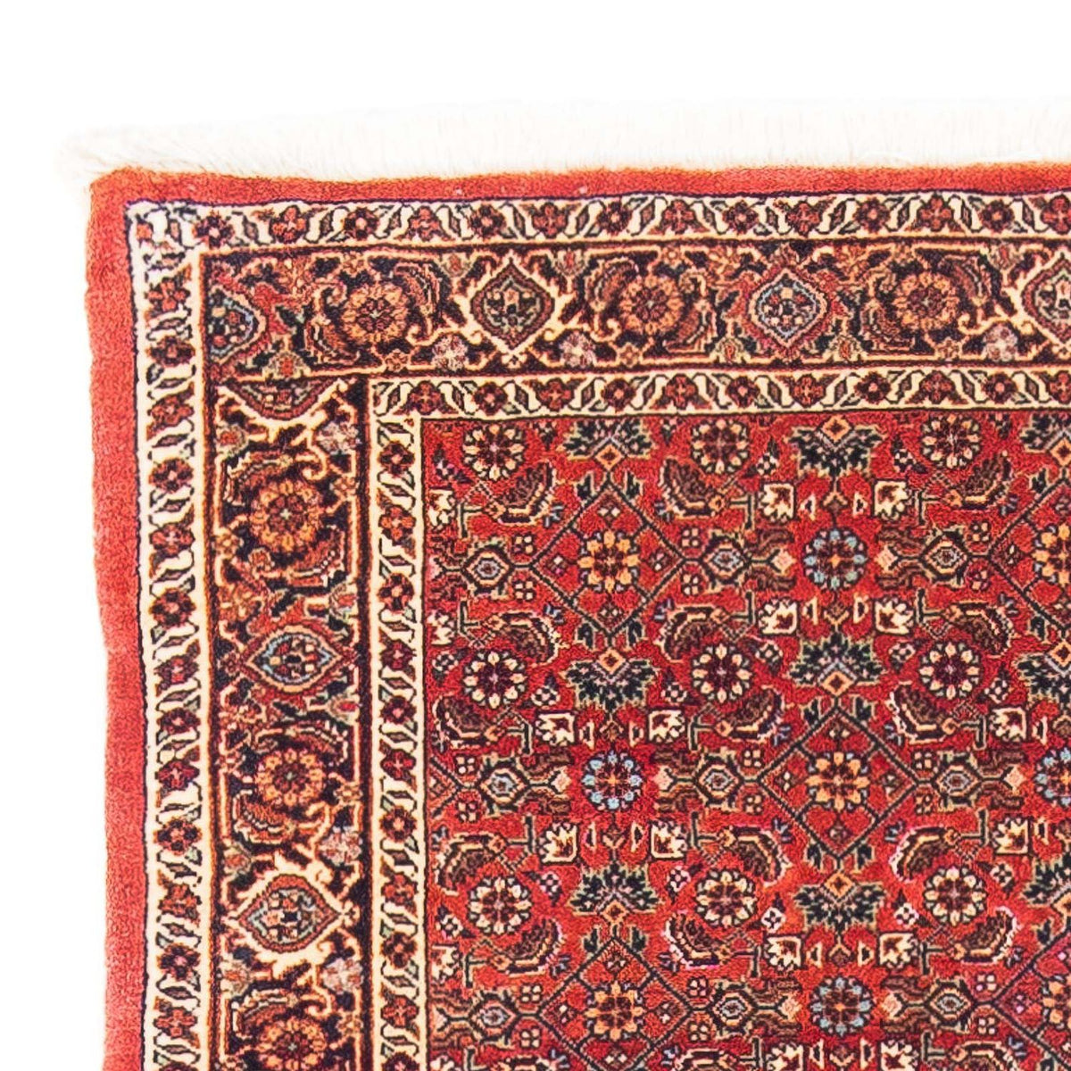 Bidjar Tappeto 89x162cm - Tappeto persiano