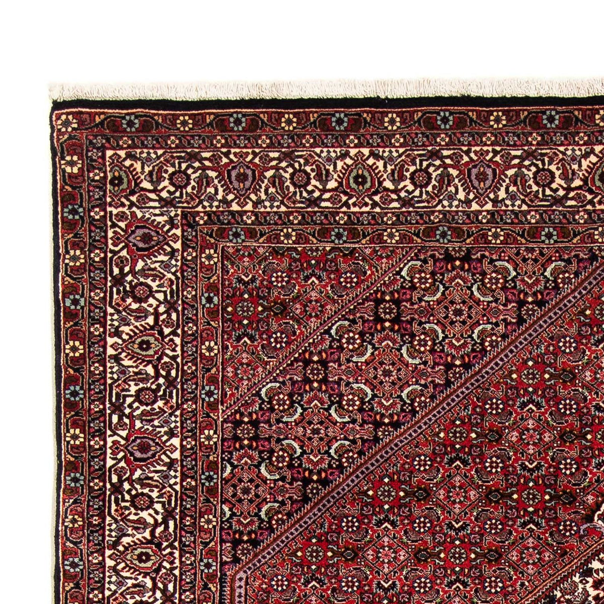 Bidjar Tappeto 153x255cm - Tappeto persiano - rosso scuro