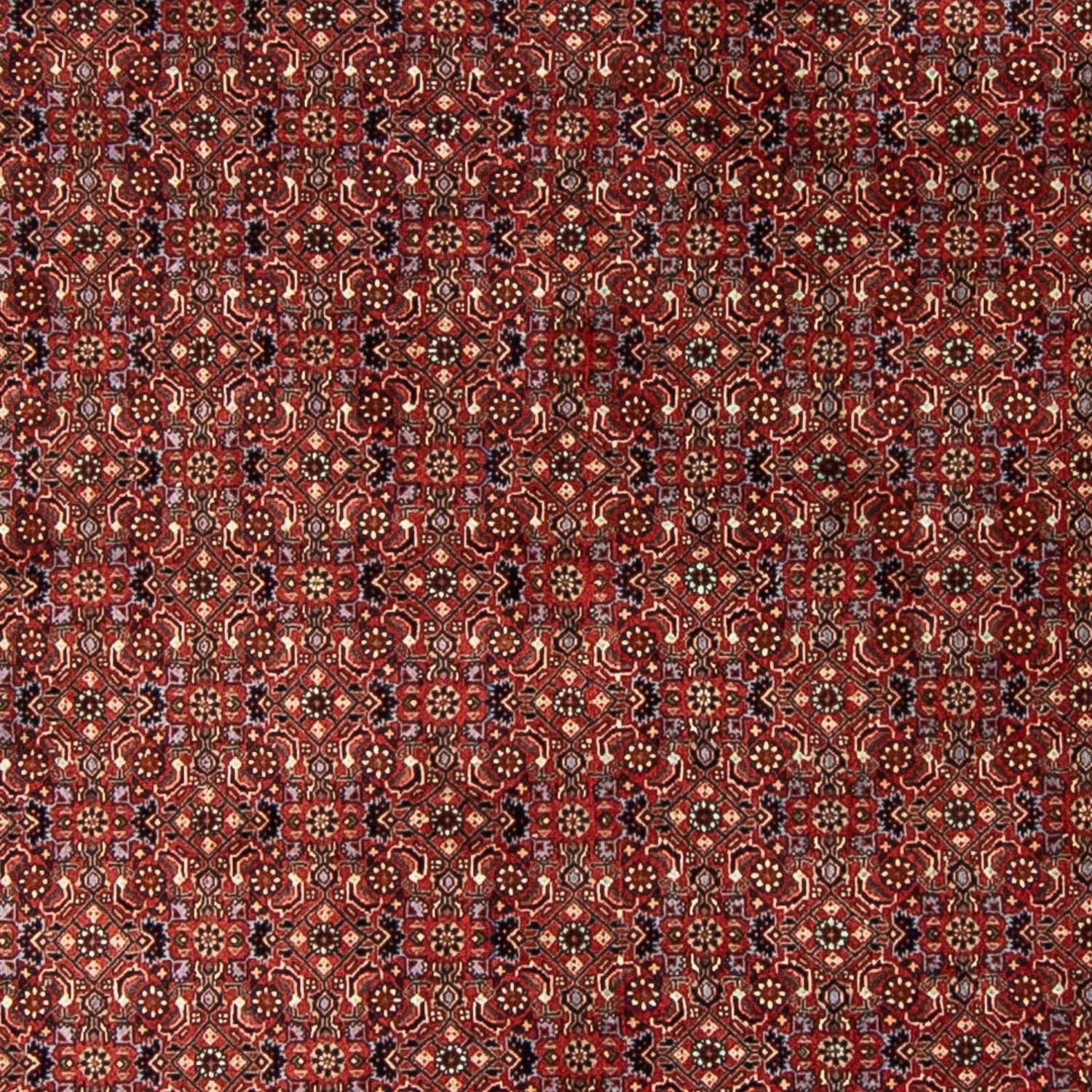 Perserteppich - Bidjar 250 x 250 cm