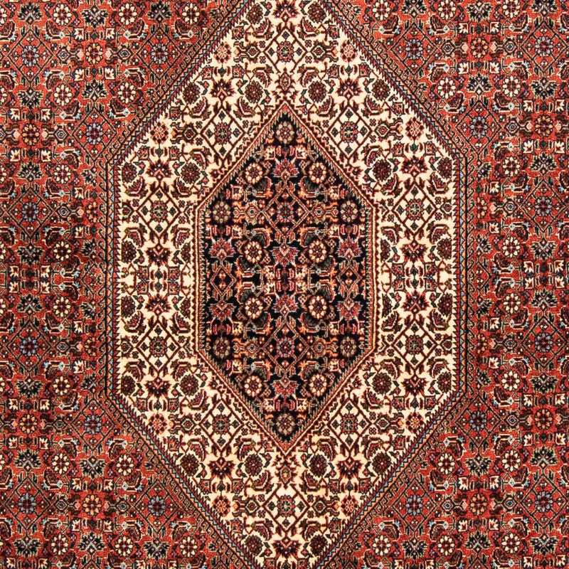 Perserteppich - Bidjar 252 x 150 cm
