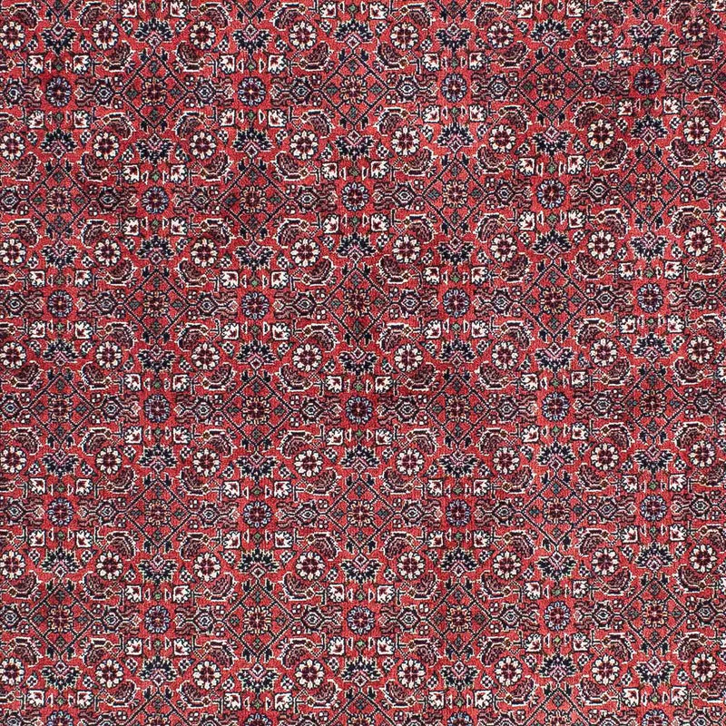 Perserteppich - Bidjar - Royal 204 x 129 cm