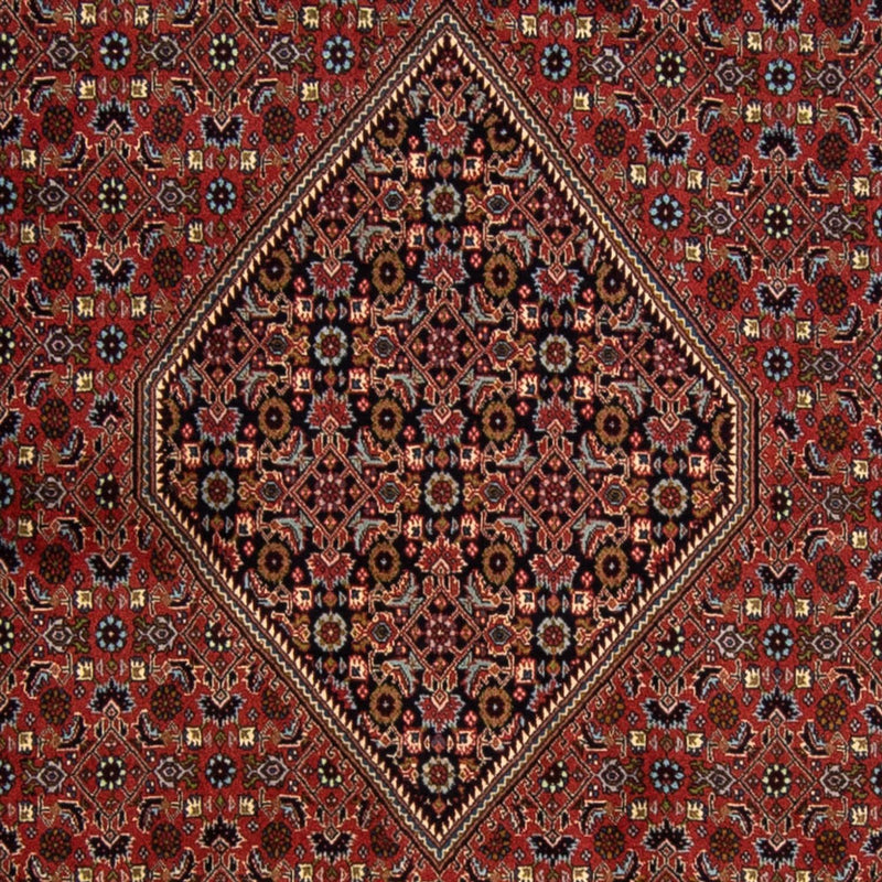 Perserteppich - Bidjar 337 x 250 cm