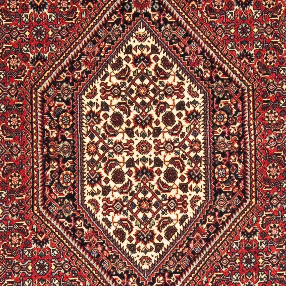 Perserteppich - Bidjar - Royal 153 x 89 cm - rot