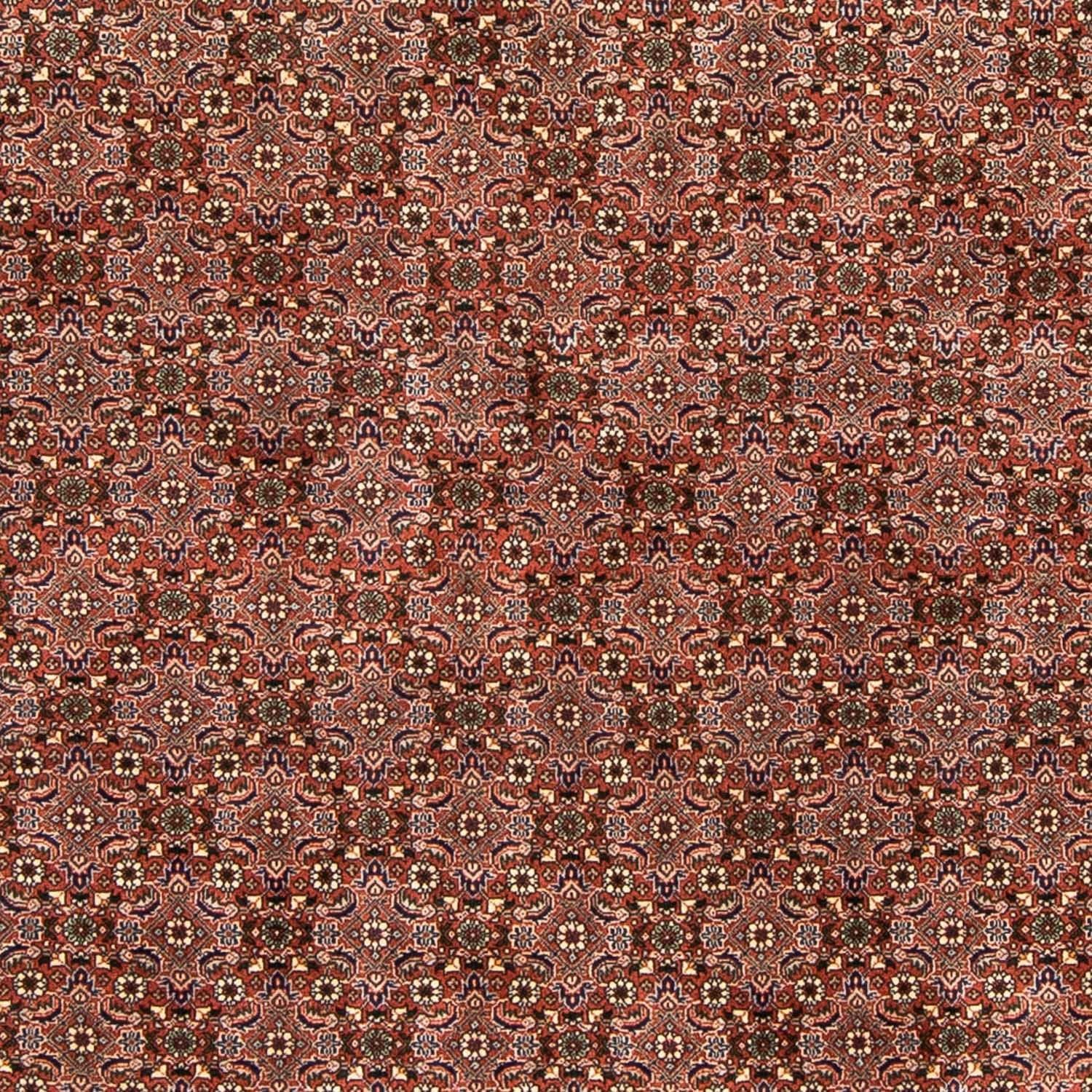 Perserteppich - Bidjar 235 x 167 cm