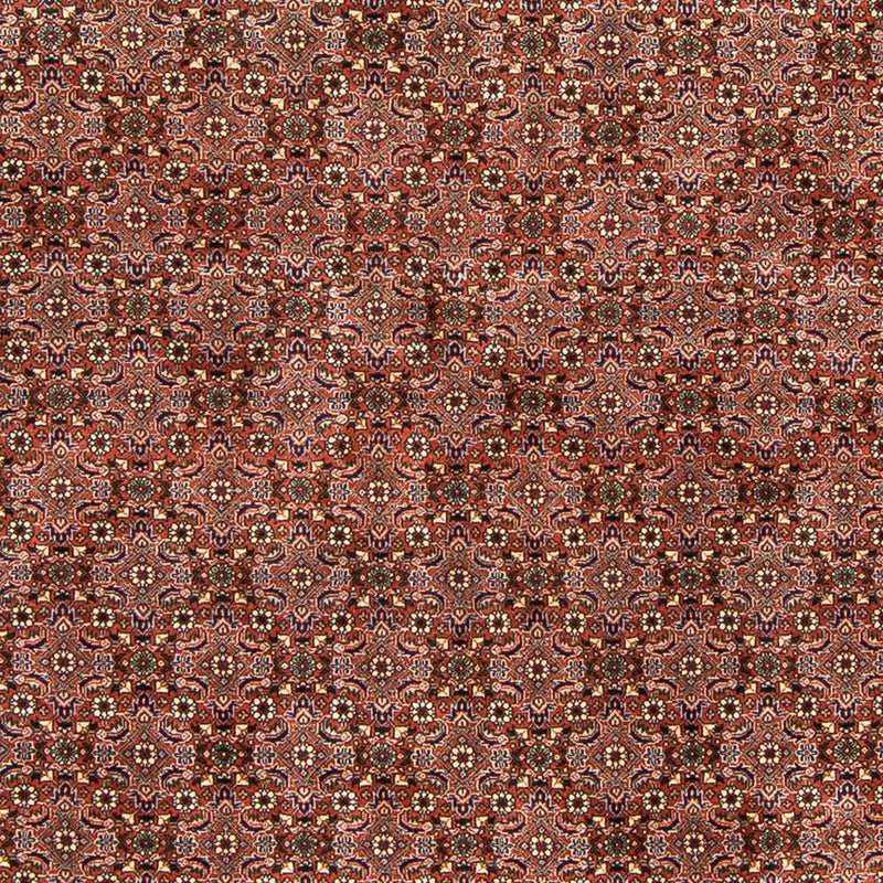 Perserteppich - Bidjar 235 x 167 cm