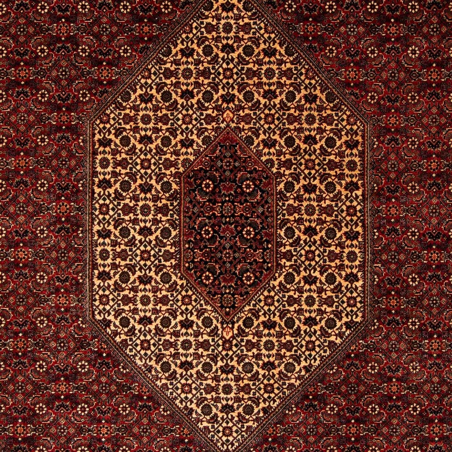 Perserteppich - Bidjar 255 x 205 cm
