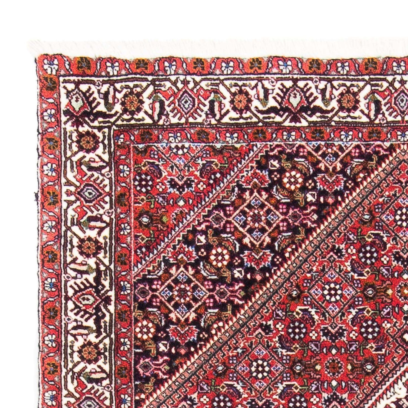 Bidjar Tappeto 154x90cm - Tappeto persiano