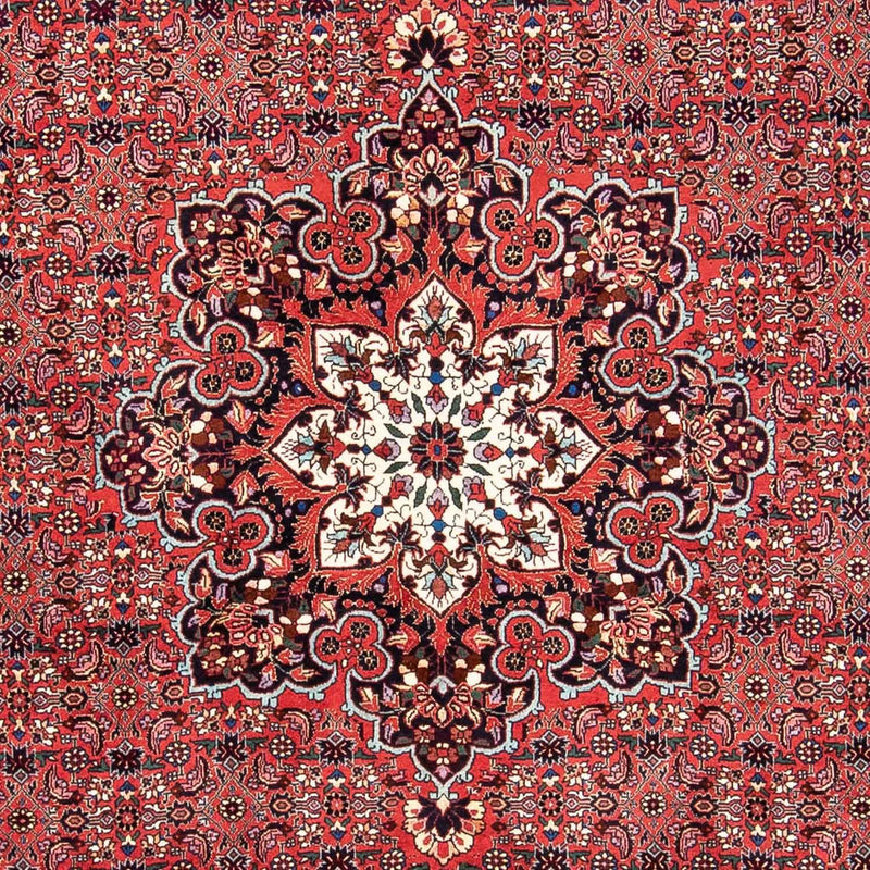 Perserteppich - Bidjar 240 x 170 cm Teppich Wohnzimmer