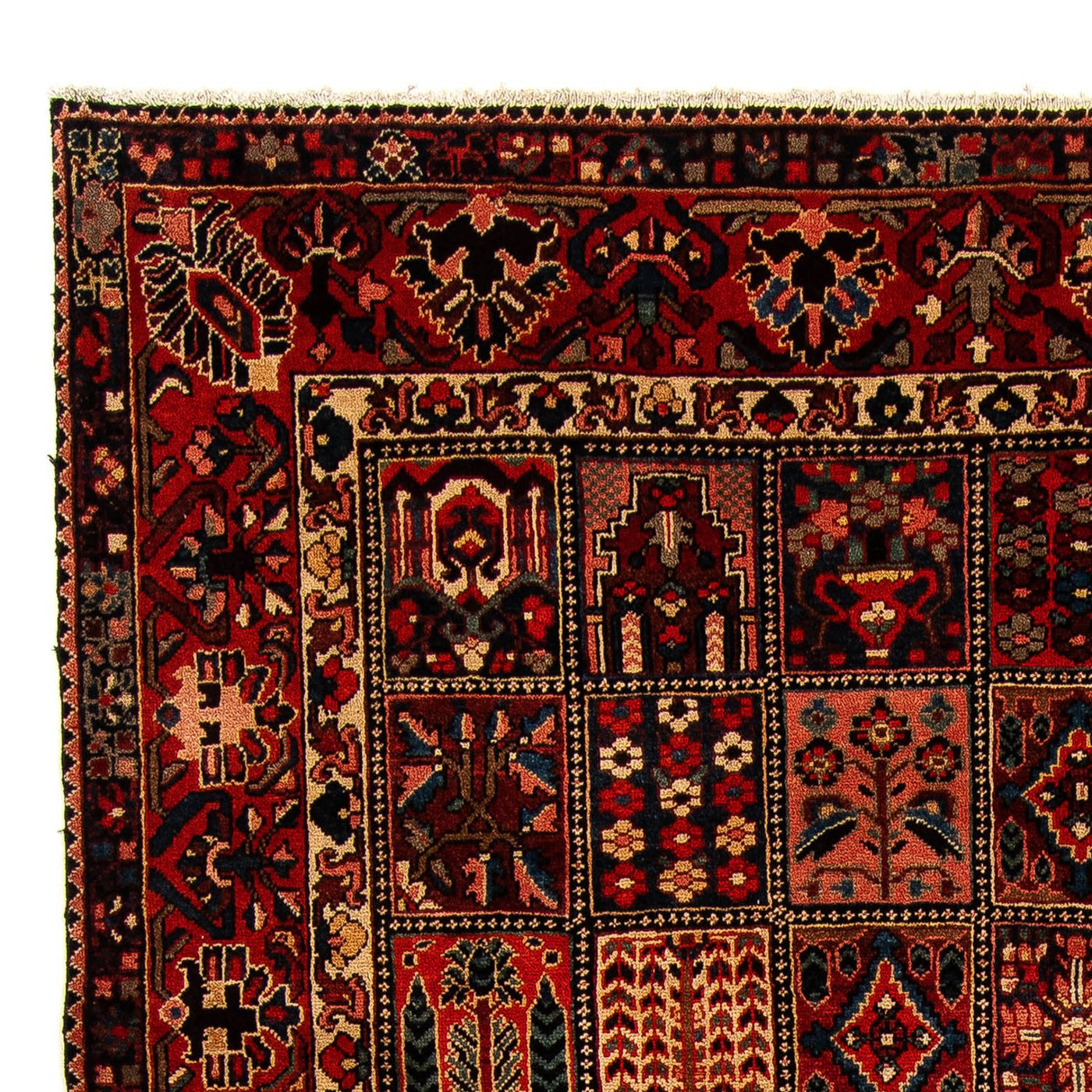 Tapis Bakhtiari Tapis 351x302cm - Tapis persan