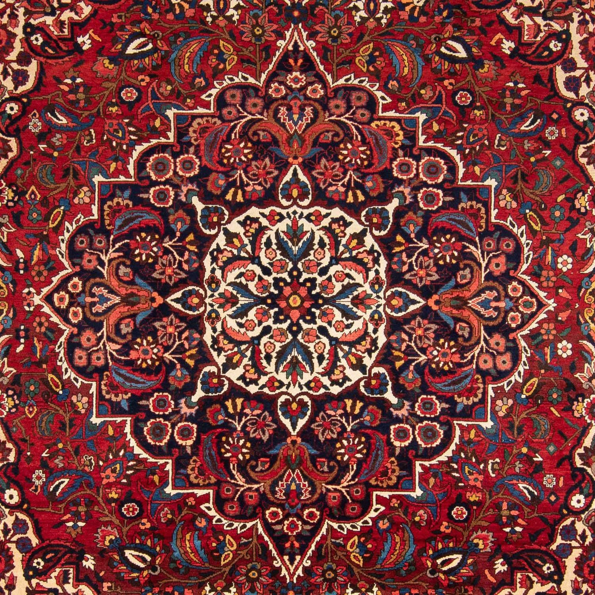 Perserteppich - Nomadic 360 x 272 cm