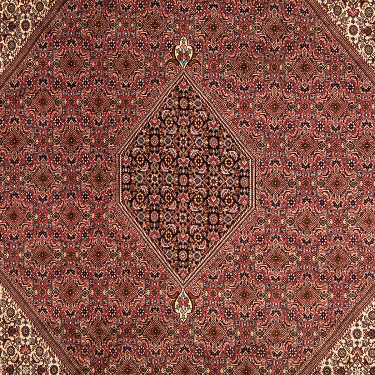 Perserteppich - Bidjar 350 x 245 cm
