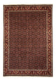 Perserteppich - Bidjar 345 x 245 cm