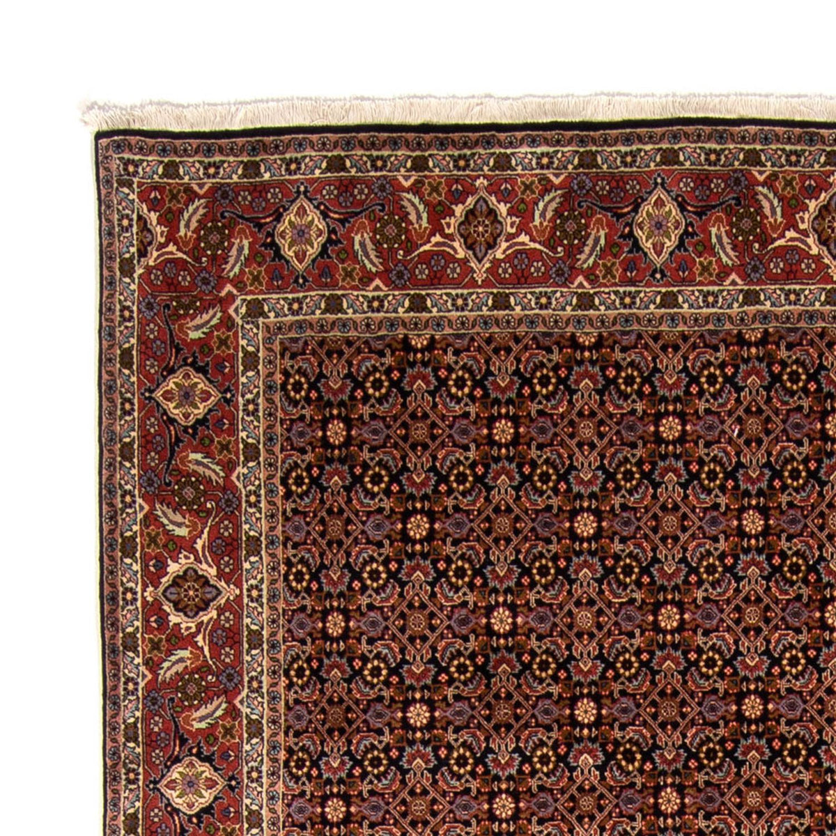 Bidjar Tappeto 245x345cm - Tappeto persiano