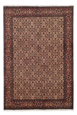 Perserteppich - Bidjar 249 x 172 cm