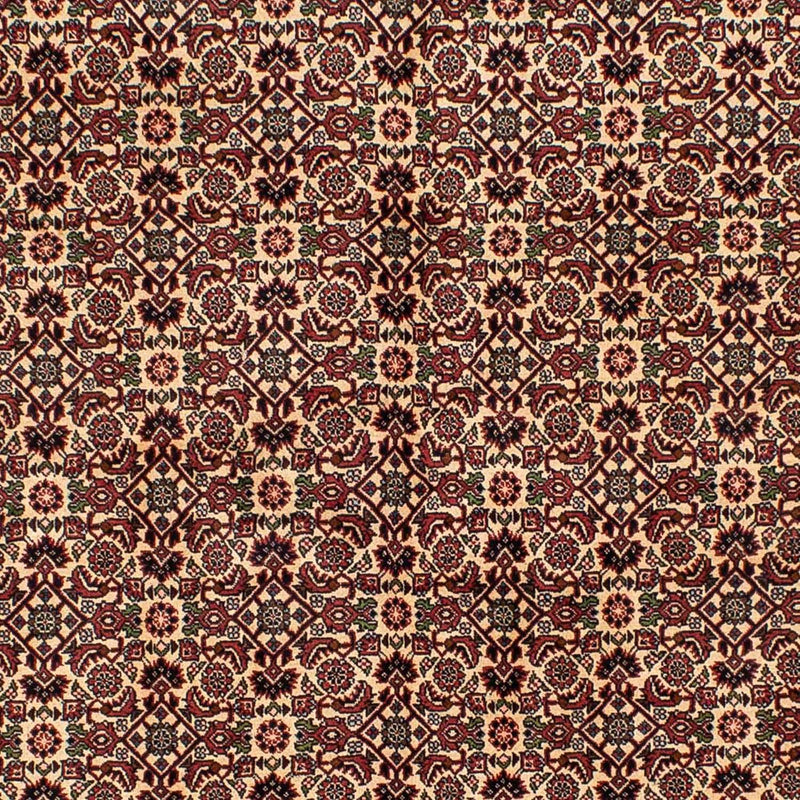 Perserteppich - Bidjar 249 x 172 cm
