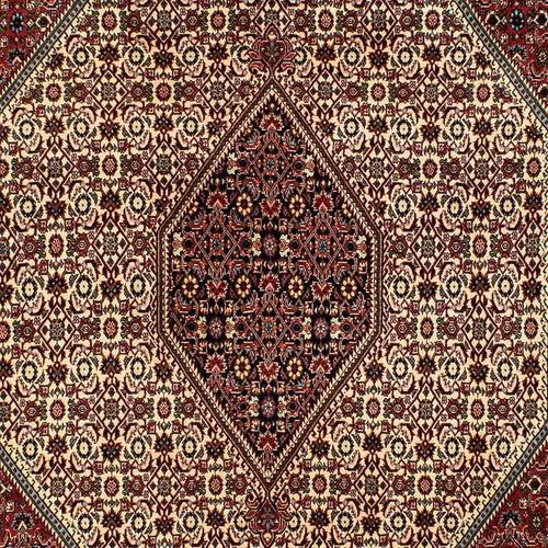 Perserteppich - Bidjar 300 x 200 cm