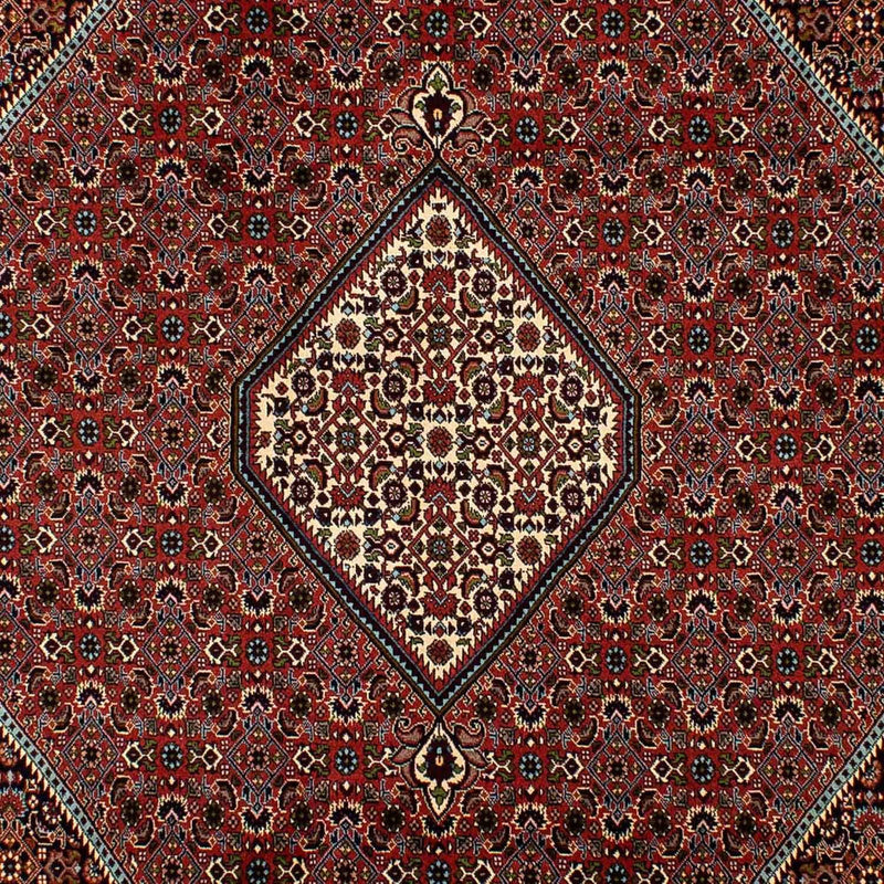 Perserteppich - Bidjar 300 x 202 cm