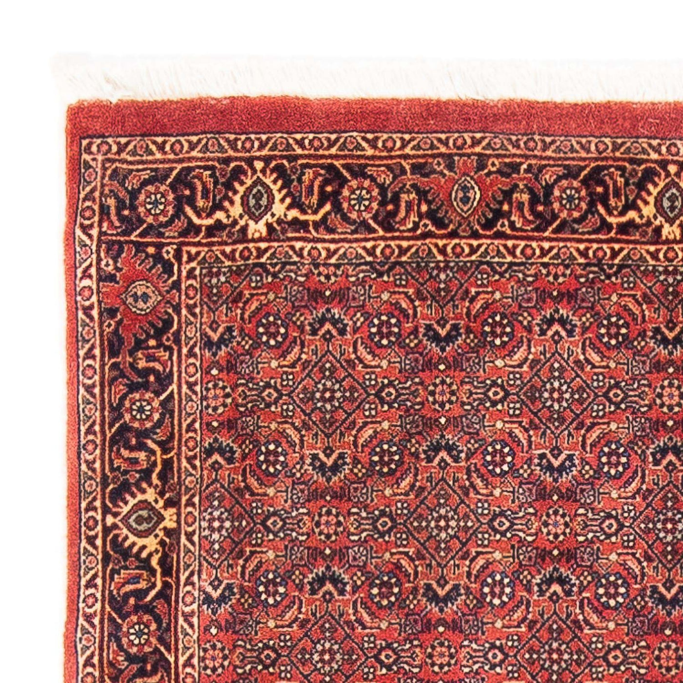 Tapis de Bidjar Tapis 154x90cm - Tapis persan