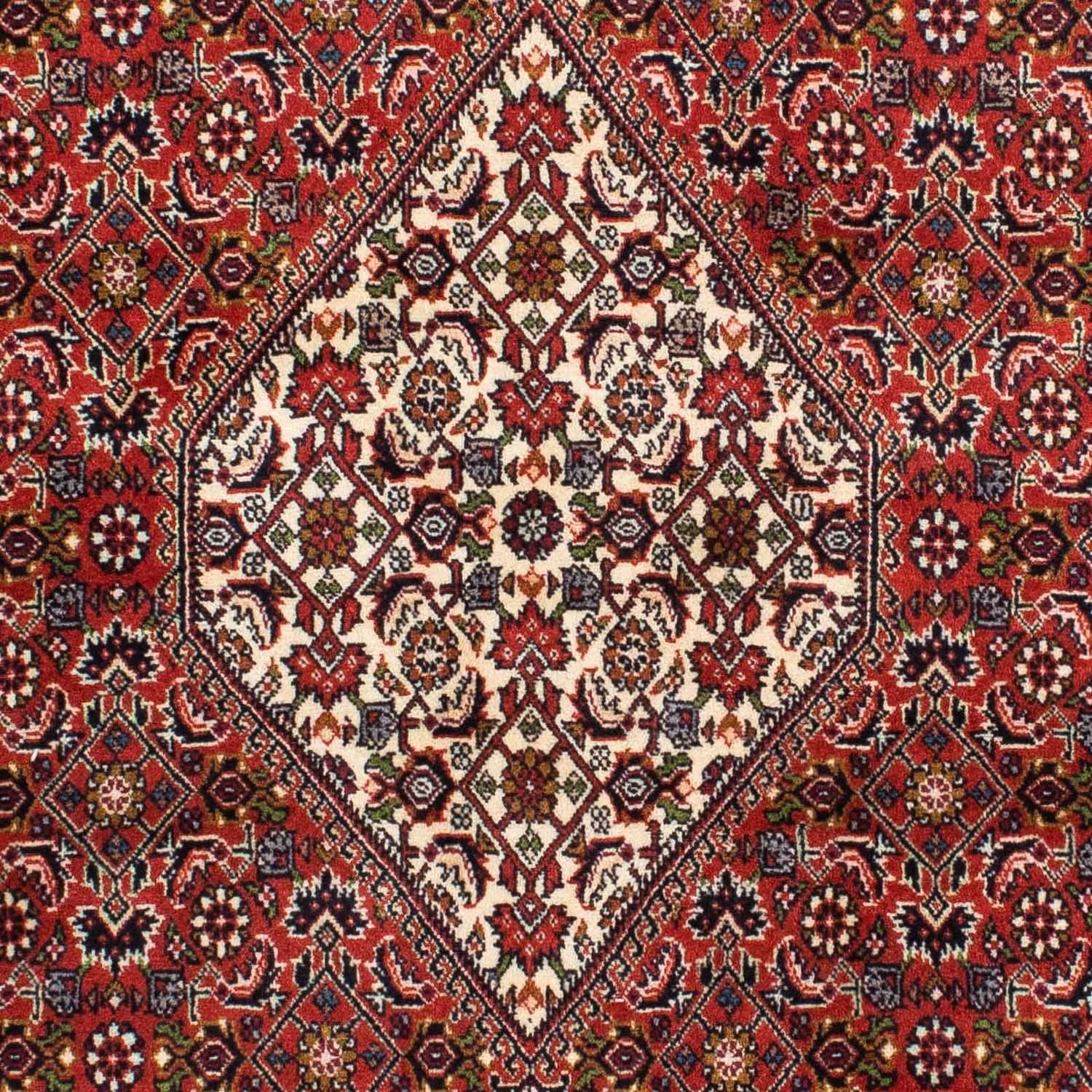Perserteppich - Bidjar 220 x 141 cm