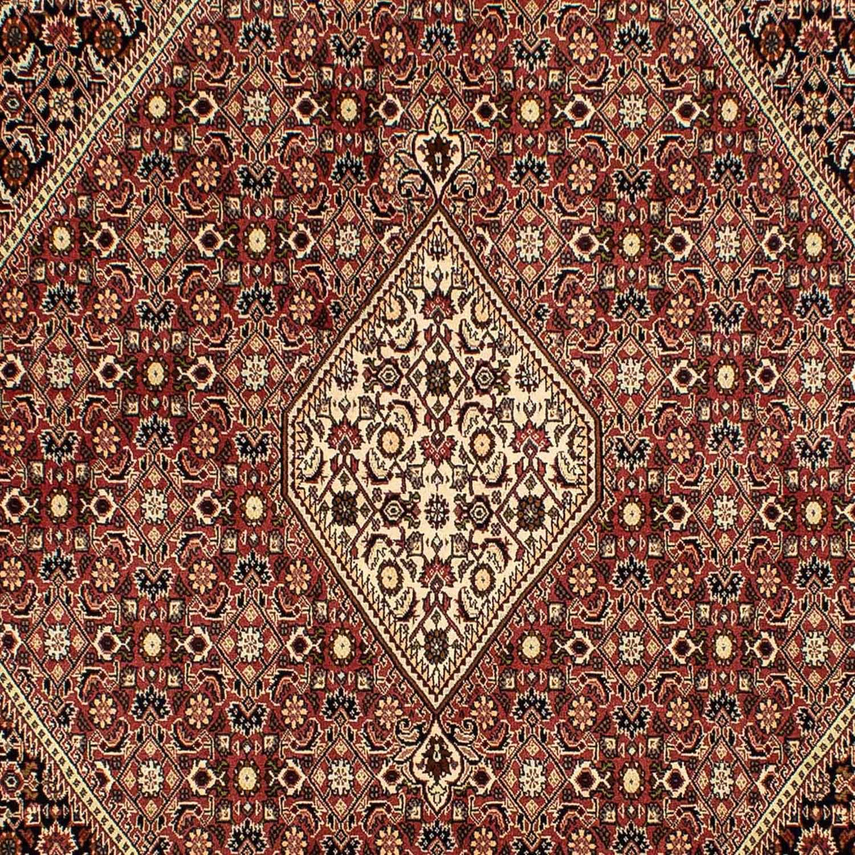Perserteppich - Bidjar 290 x 198 cm