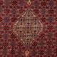Perserteppich - Bidjar 290 x 206 cm