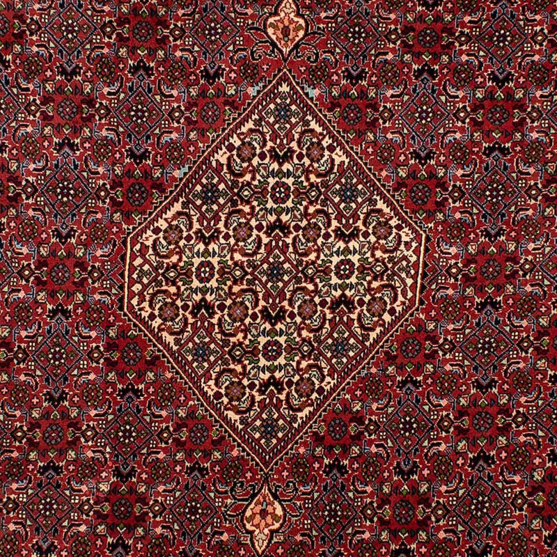Perserteppich - Bidjar 290 x 206 cm