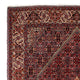 Perserteppich - Bidjar 290 x 206 cm