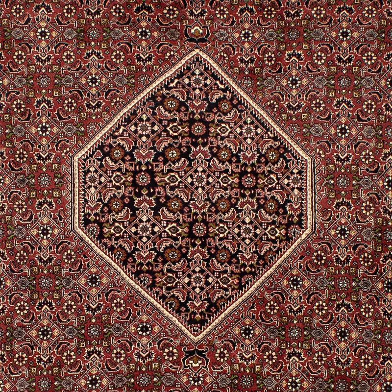 Perserteppich - Bidjar 300 x 197 cm