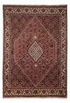 Tapis de Bidjar Tapis 200x292cm - Tapis persan - Rectangle / Rouge foncé / 200 x 292 cm Rectangle