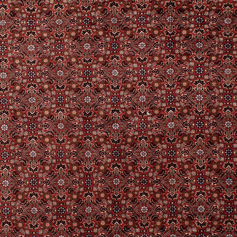 Perserteppich - Bidjar 288 x 198 cm