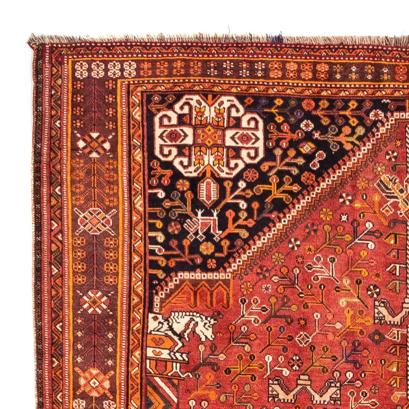 Qashqai Tappeto 255x162cm - Tappeto persiano