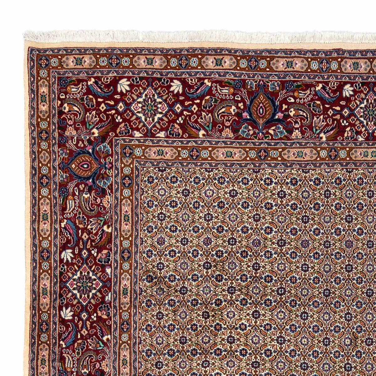 Tapis de Moud Tapis 254x355cm - Tapis persan
