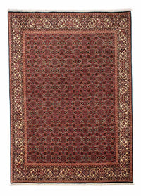 Tapis persan - Bidjar - 284 x 202 cm - marron