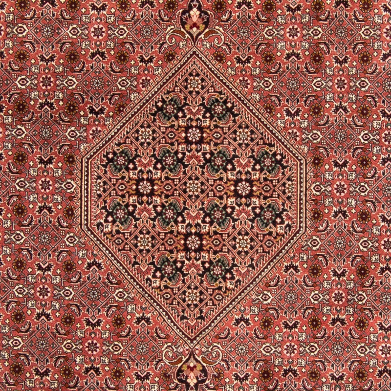 Perserteppich - Bidjar 340 x 248 cm